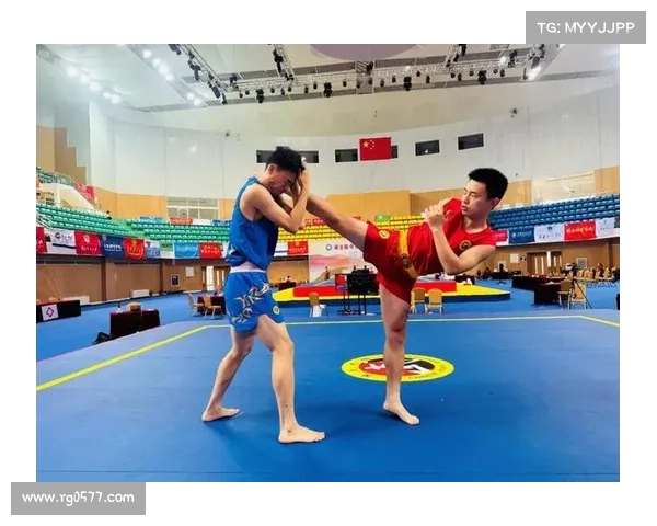 2020年武术散打锦标赛